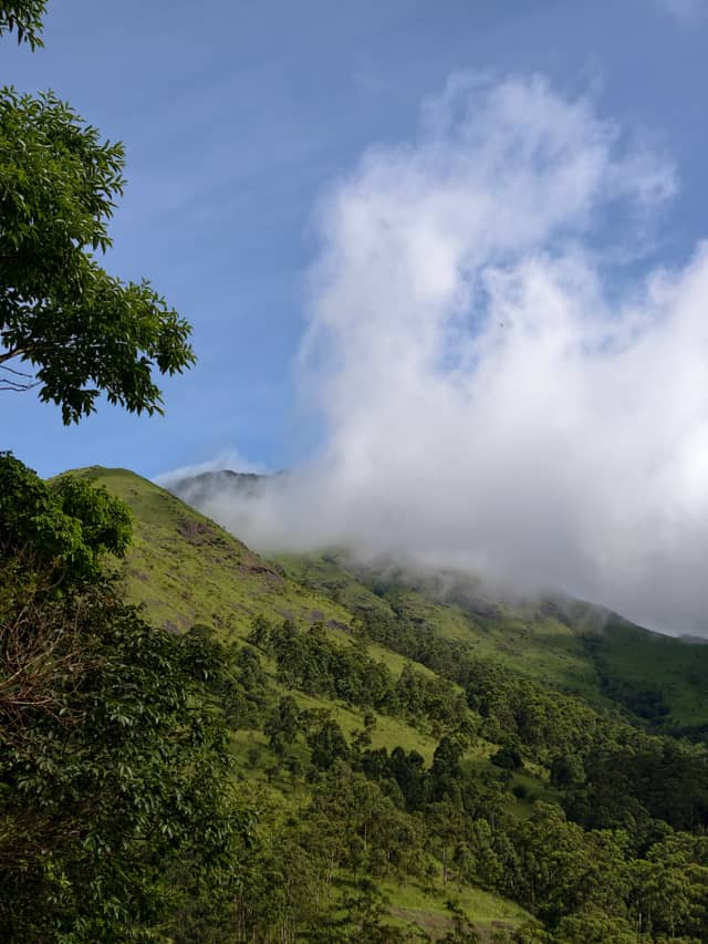 Vythiri Misty Hills - Image 1