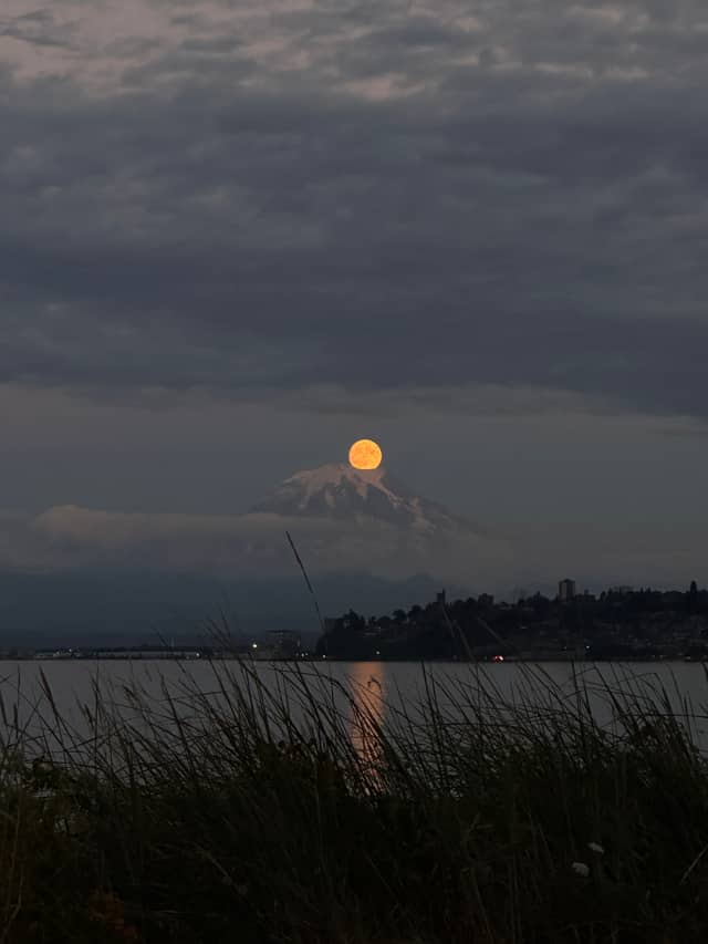Mount Rainier View from Point Defiance - Image 1