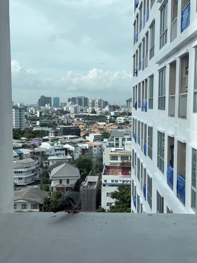 Sukhumvit 67 Urban Overlook - Image 1