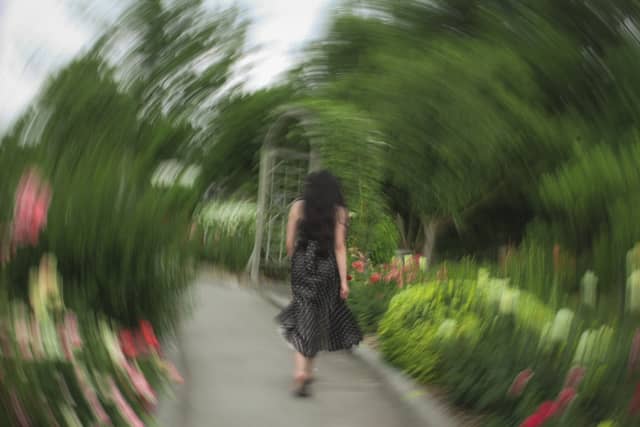 Southridge Rose Garden - Image 1