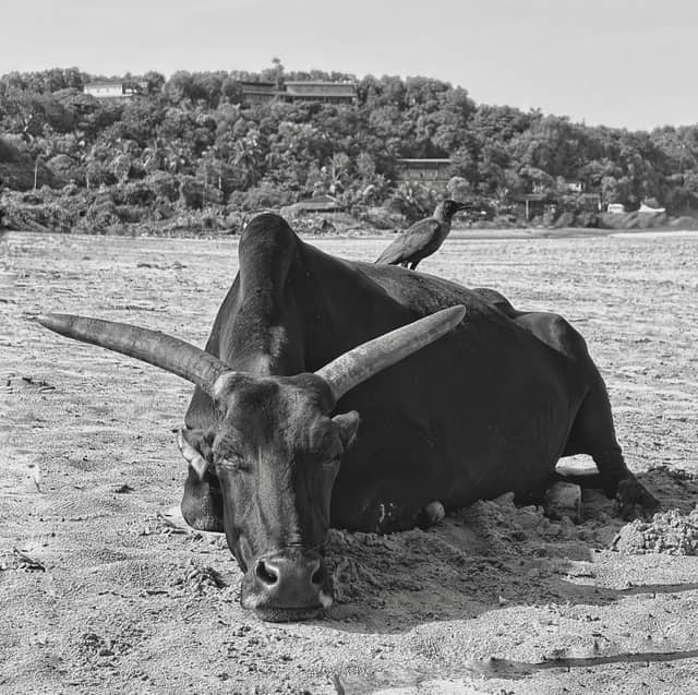 Gokarna Main Beach - Image 1