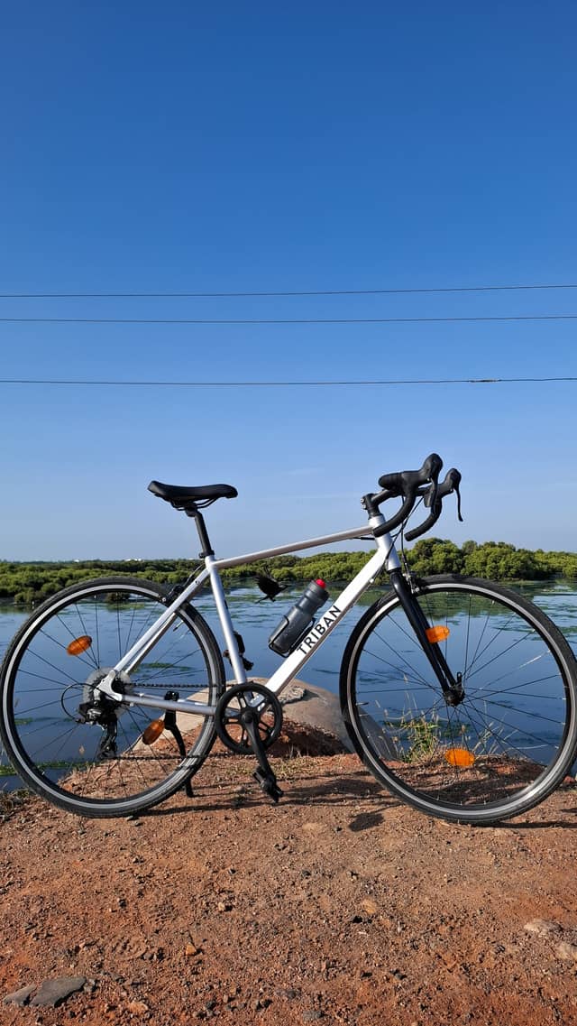 Muttukadu Backwaters Overlook - Image 1