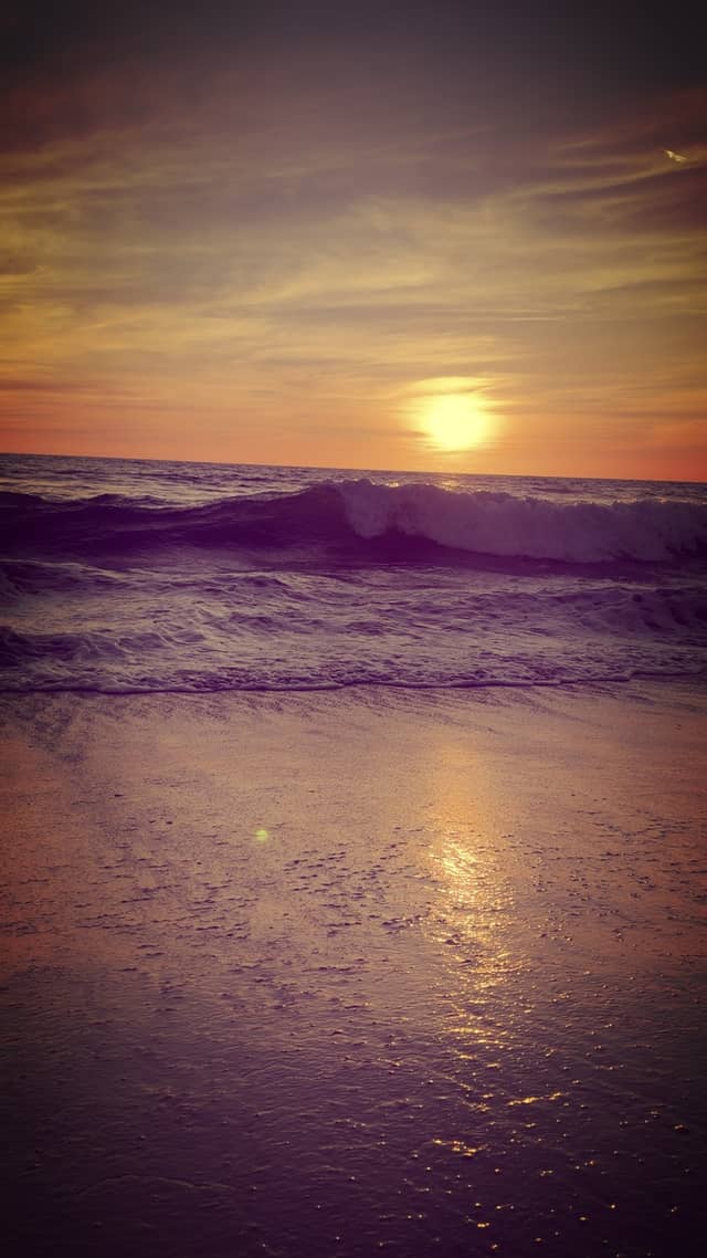 Moonlight State Beach - Image 1