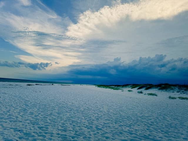 Navarre Beach Dunes - Image 1