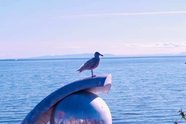 White Rock Waterfront Overlook - Image 1