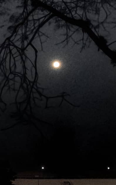 San Miguel Nocturnal View - Image 1