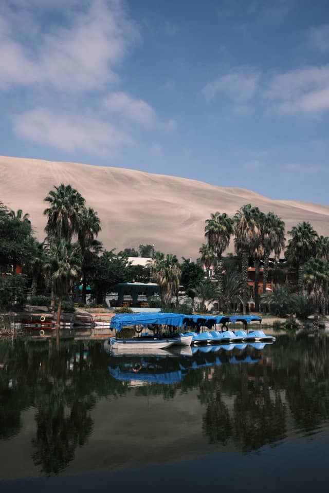 Huacachina Oasis - Image 1