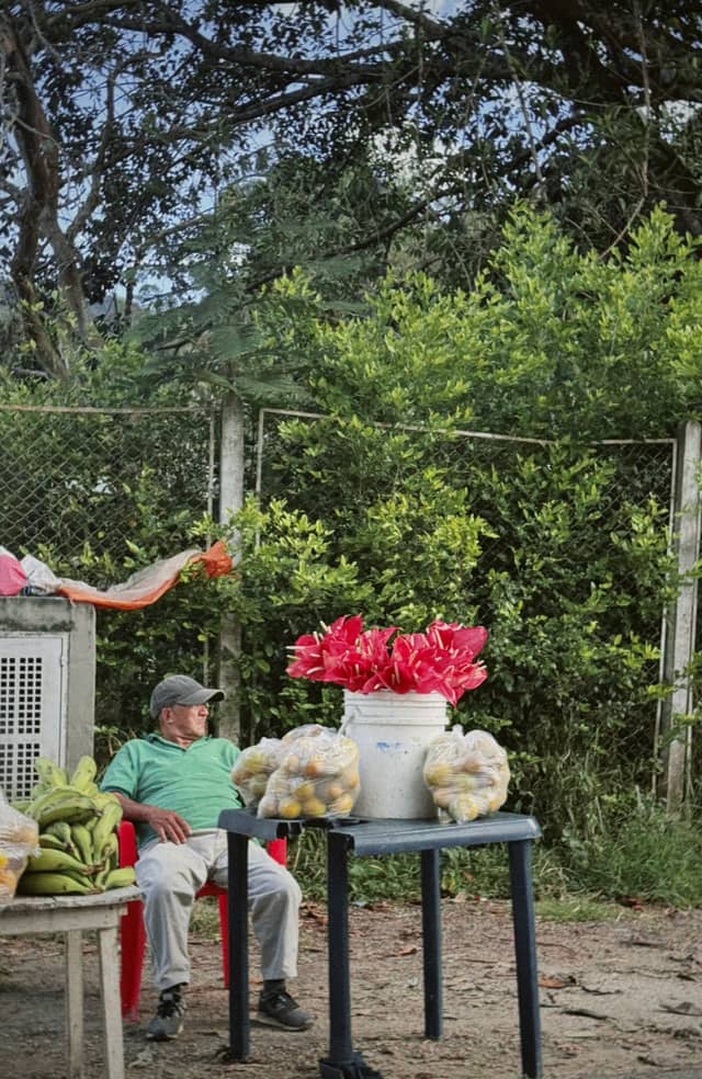 Roadside Fruit Stall in Rovira - Image 1