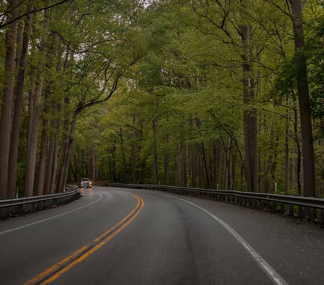 Waggoners Gap Road Forest Drive - Image 1