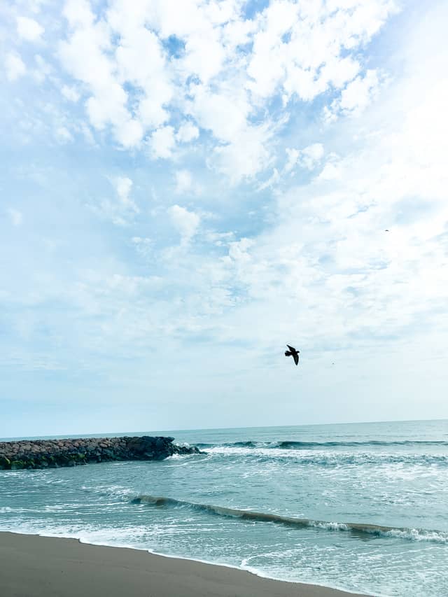 Fort Kochi Beach - Image 1
