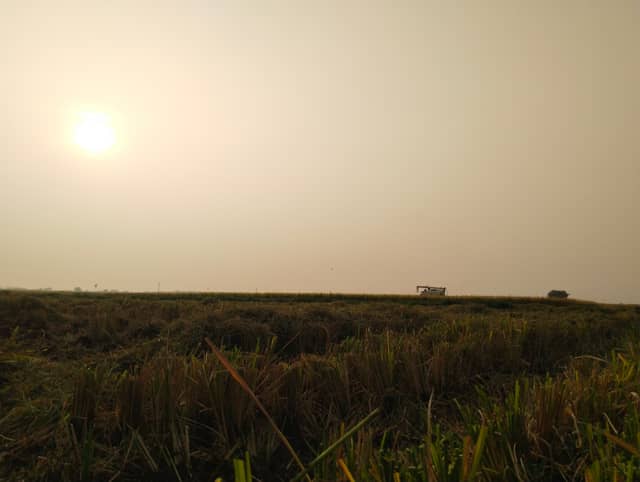 Guntur Harvest Fields - Image 1