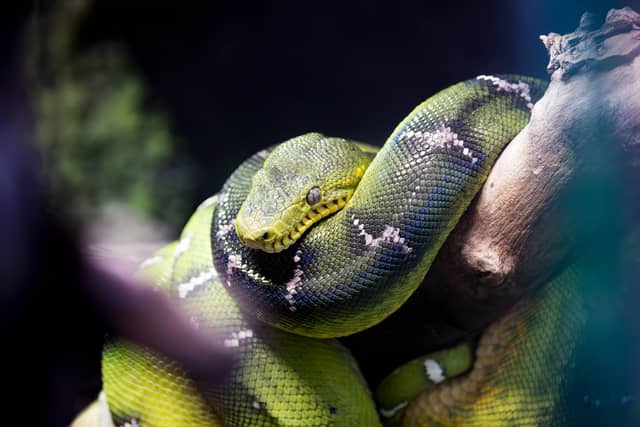 Parc Zoologique de Paris - Image 1