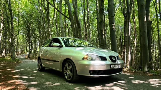 Rossiglione Forest Road - Image 1