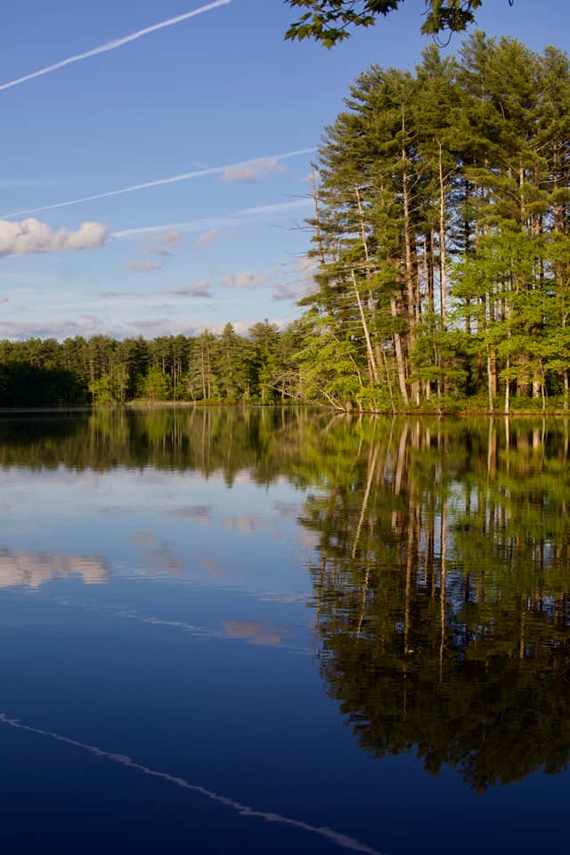 World End Pond - Image 1