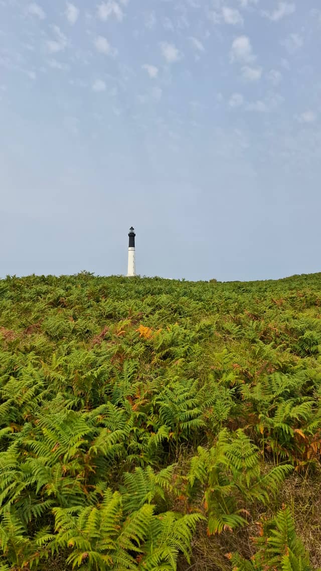Grand Phare de l'Île de Sein - Image 1