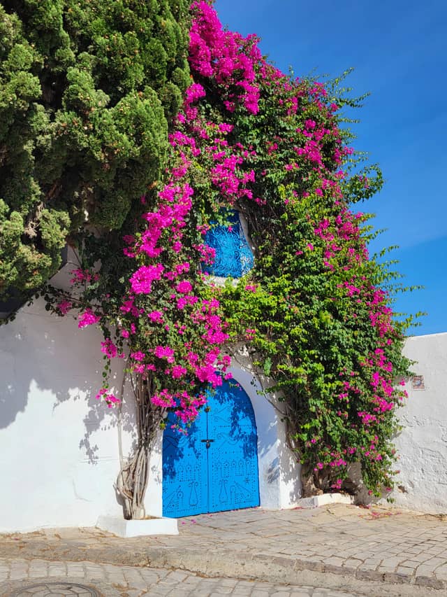 Sidi Bou Said - Image 1