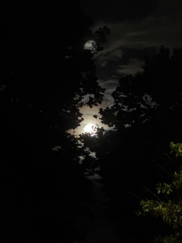 Monza Moonlight Silhouette - Image 1