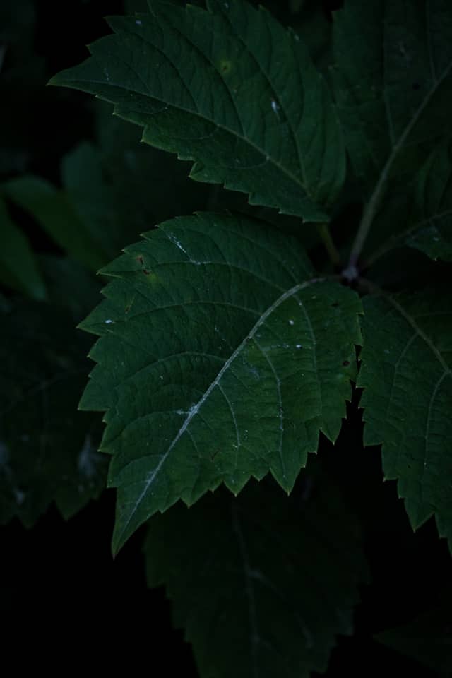 Watkins Glen State Park - Image 1
