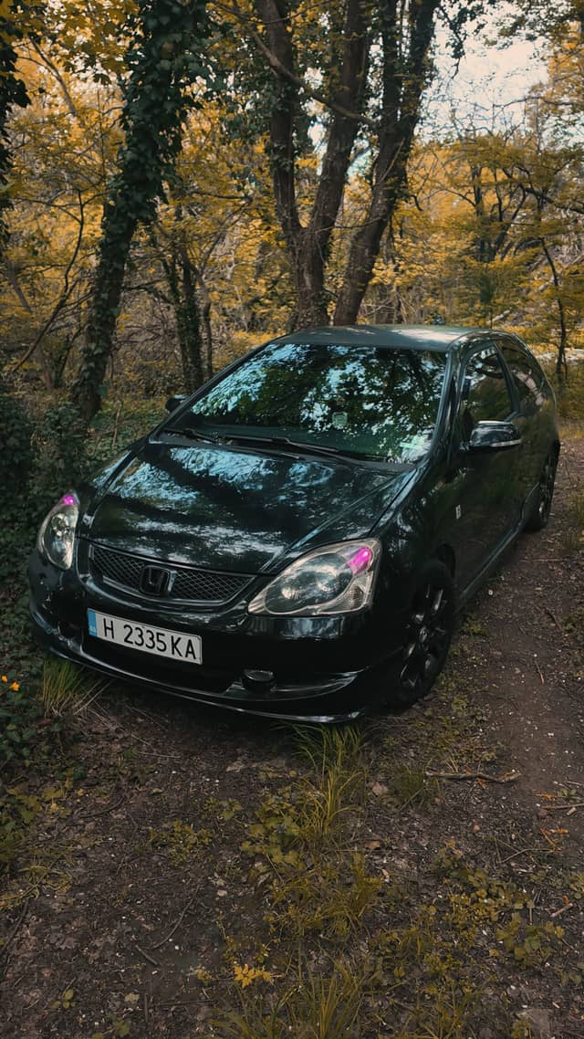 Shumen Plateau Forest Road - Image 1