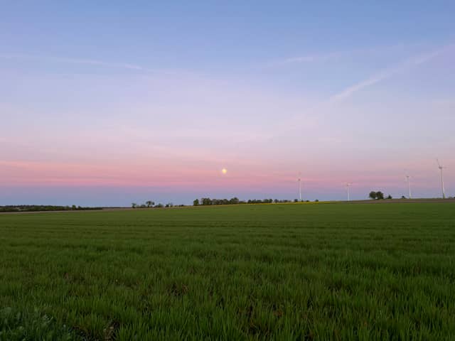 Schneverdingen Farmland Overlook - Image 1