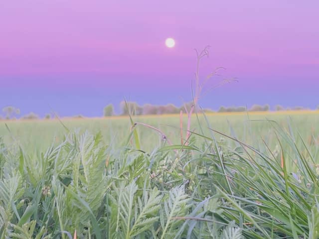 Schneverdingen Rural Fields - Image 1