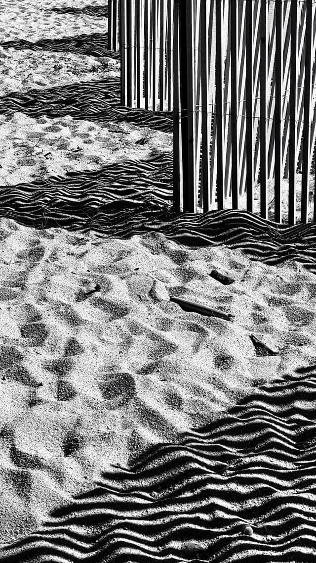 Praia de Lavadores Dunes - Image 1