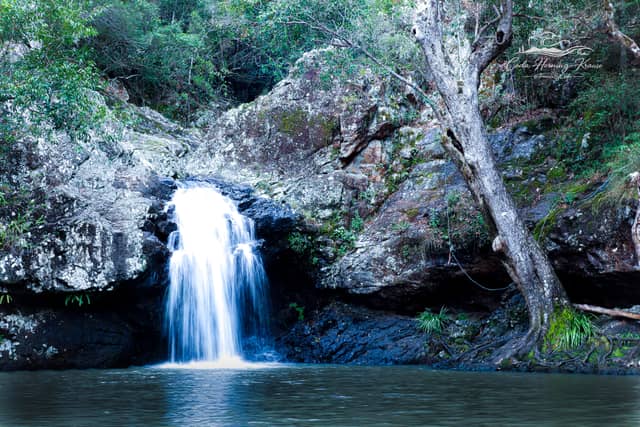 Kondalilla Falls Rock Pools - Image 1