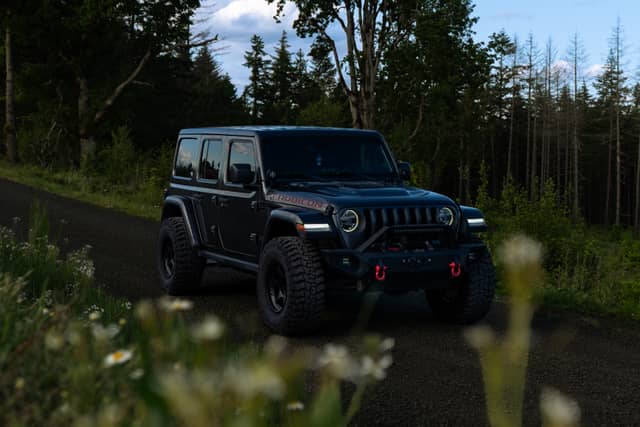 Silverton Forest Backroads - Image 1