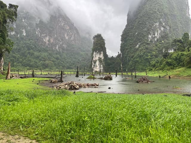 Cheow Lan Lake Limestone Karsts - Image 1