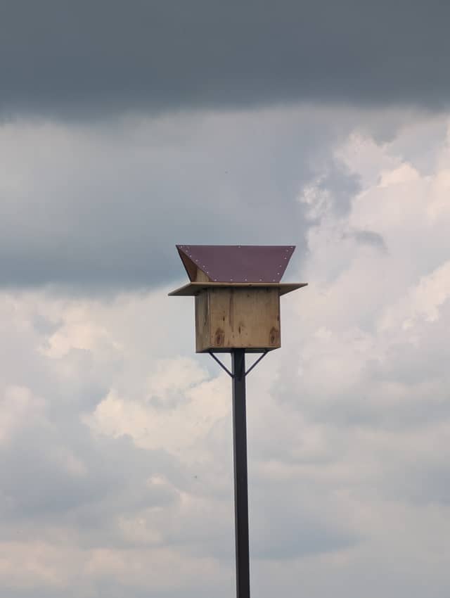 Udabno Steppe Birdhouse - Image 1