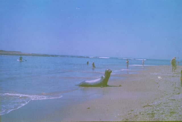 Playa Los Botes - Image 1