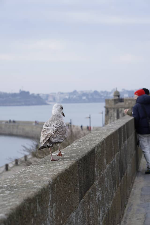 Ramparts of Saint-Malo - Image 1