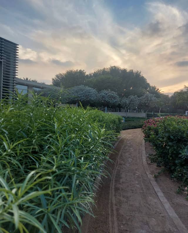 Umm Al Emarat Park Garden Walk - Image 1