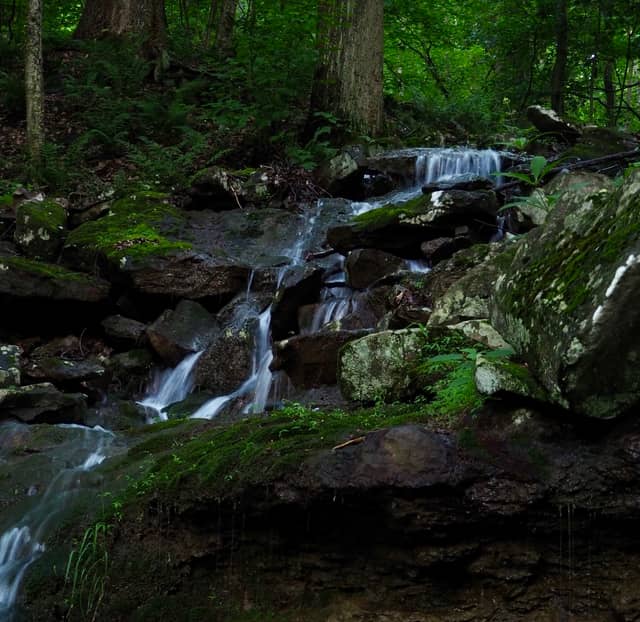 Linn Run Forest Cascade - Image 1