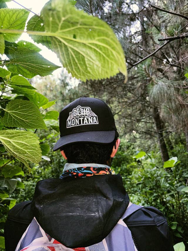 Quetzaltenango Highland Forest - Image 1