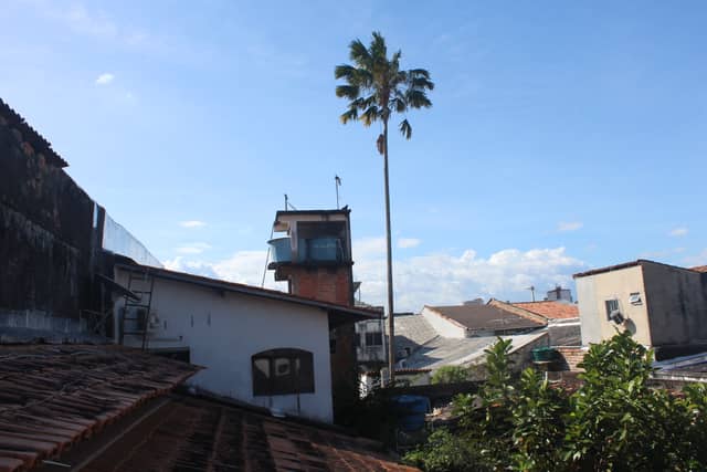 Cidade Velha Rooftop View - Image 1