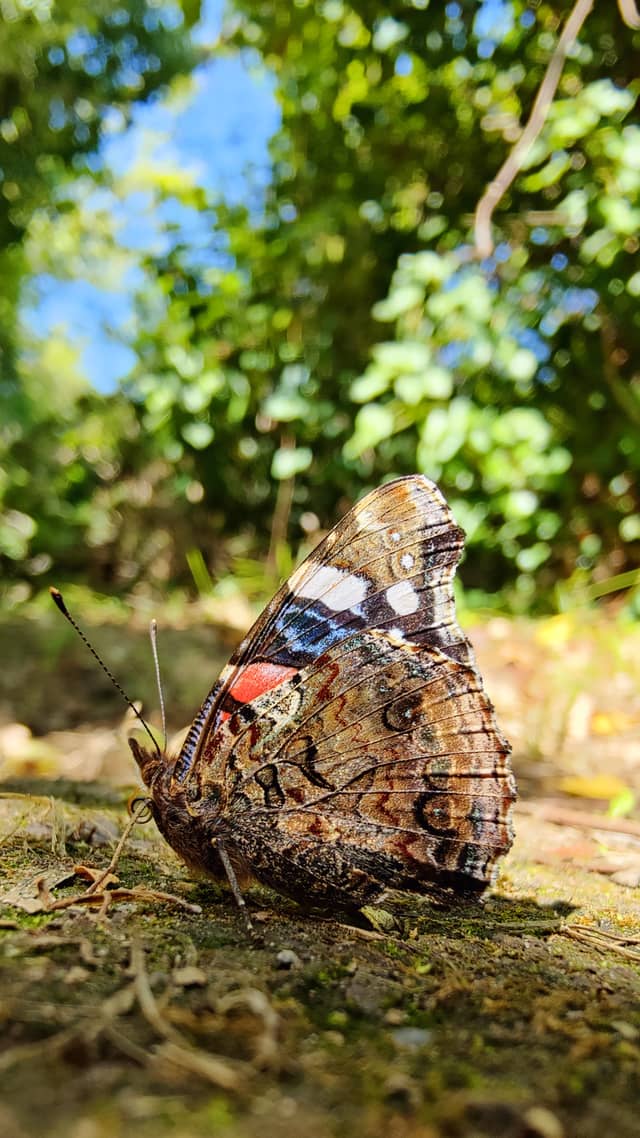 Sardinian Nature Trail - Image 1