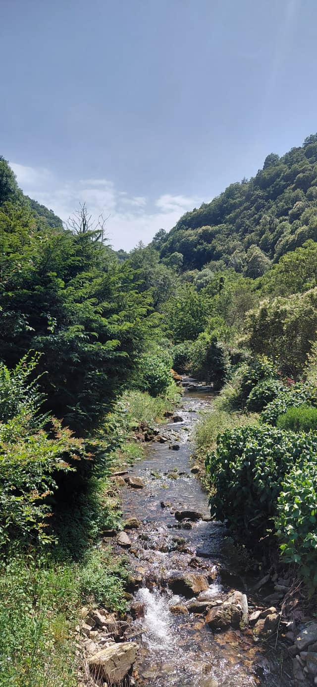 A Pontenova River Valley - Image 1