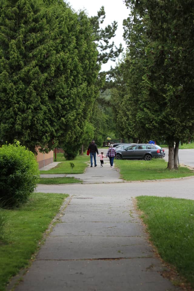 Tree-Lined Path in Beluša - Image 1