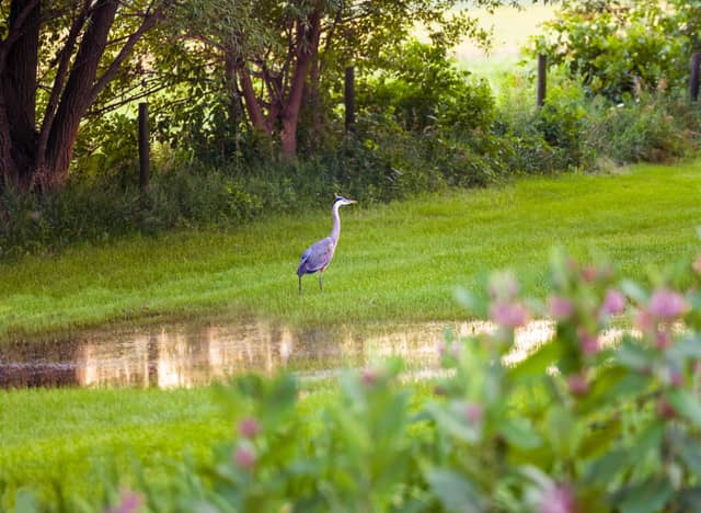 Schoolhouse Road Nature Spot - Image 1