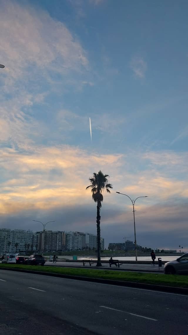 Rambla of Montevideo - Image 1
