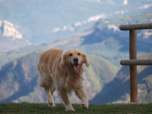Balcony of Cerdanya Overlook - Image 1