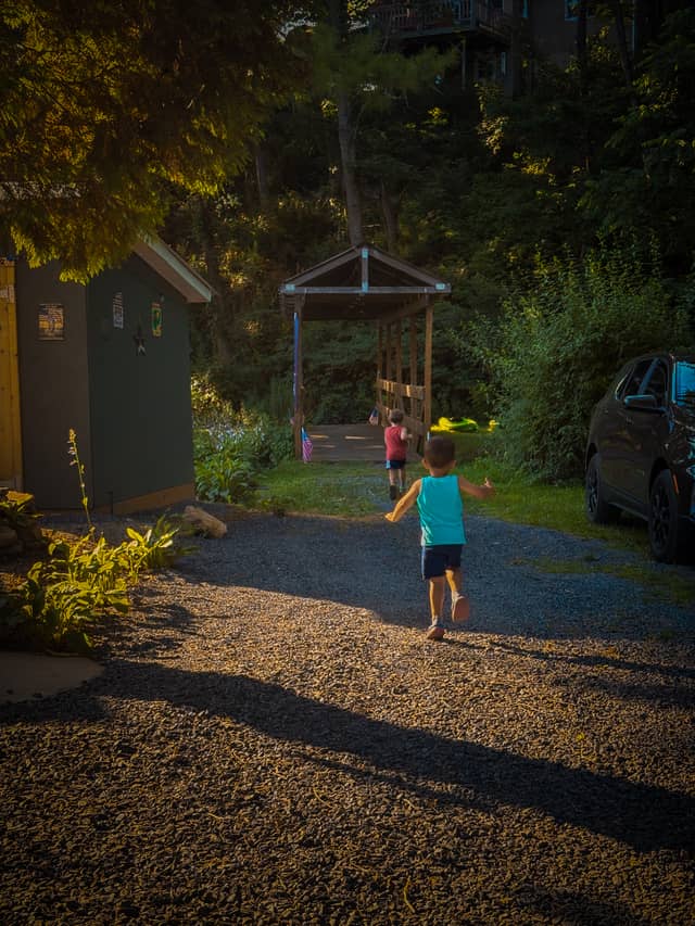 Golden Hour Garden Path - Image 1