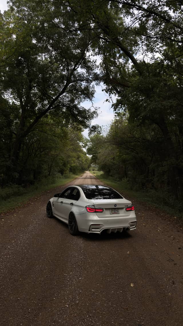 Wooded Country Road - Image 1