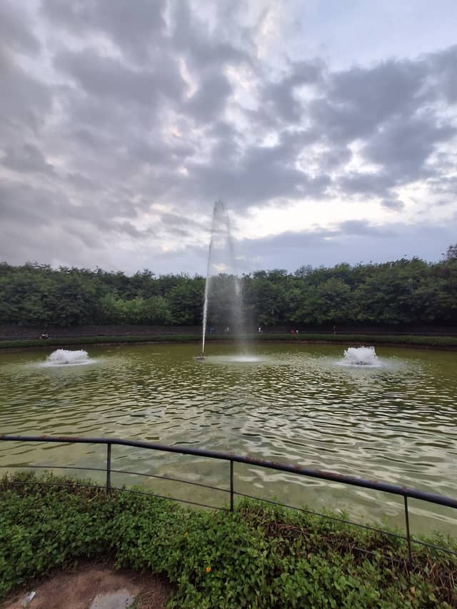 Gotila Garden Pond - Image 1