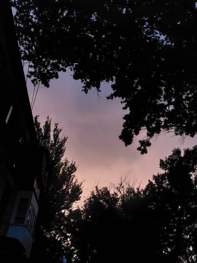 Voznesenska Street Sunset - Image 1