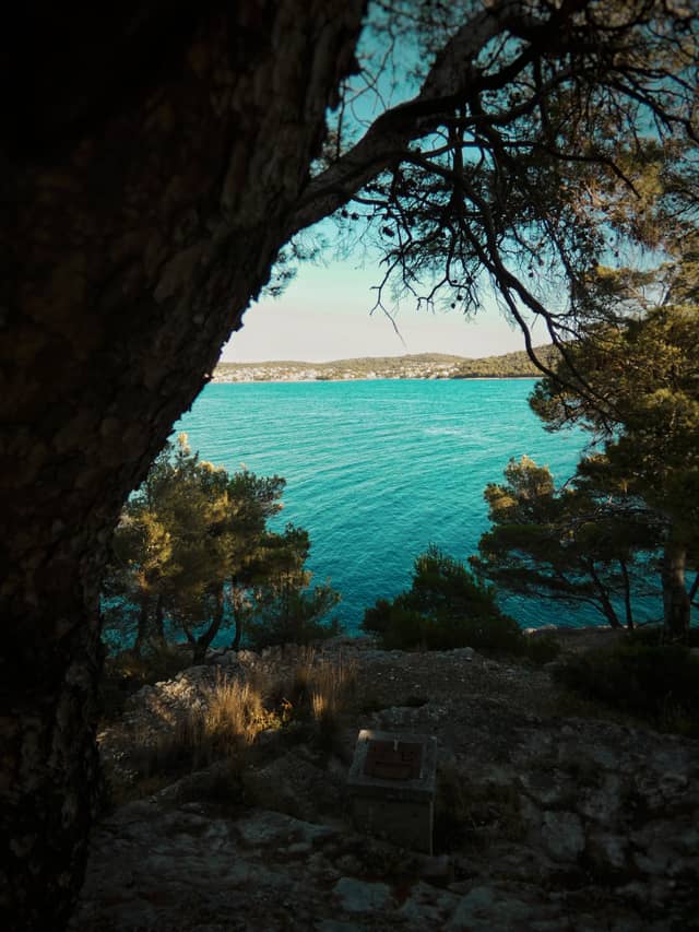Ražanj Pine Coast Overlook - Image 1