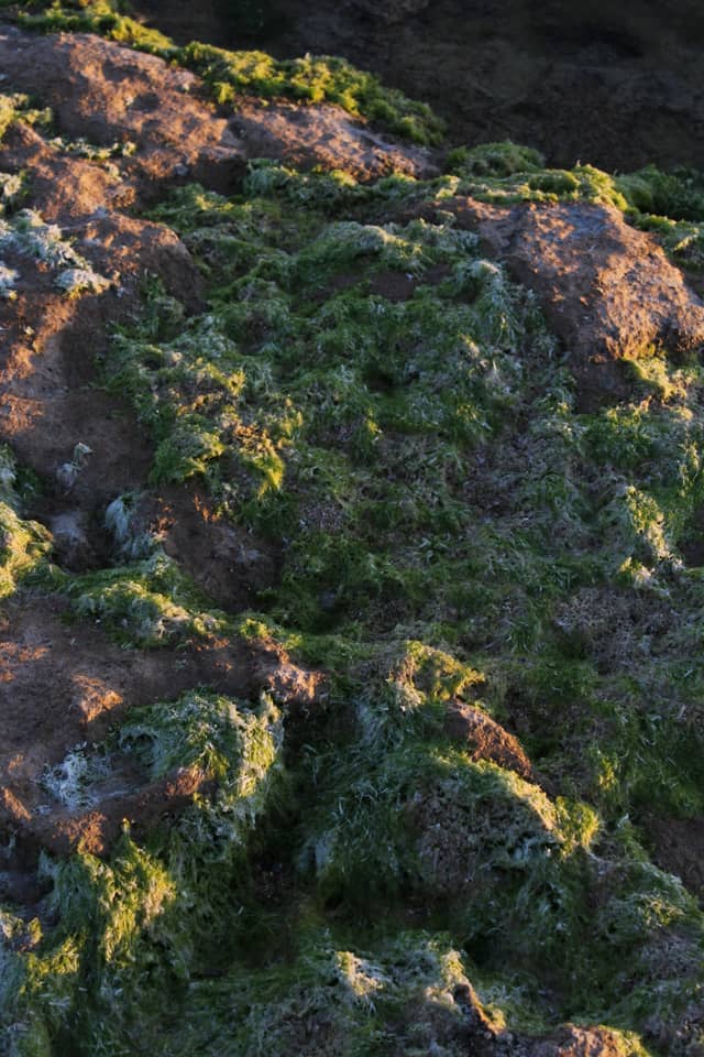 Byblos Coastal Rocks - Image 1