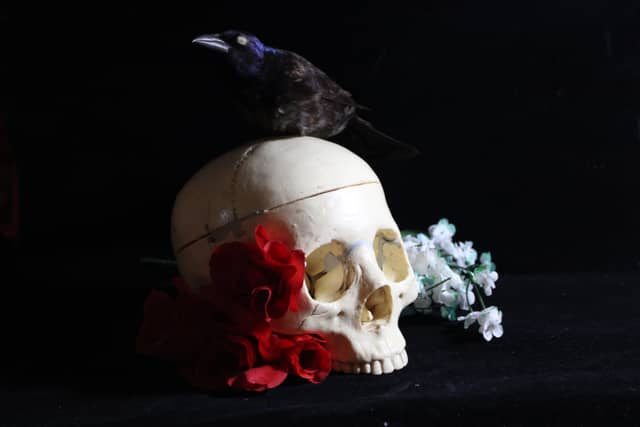 Ithaca Still Life Studio - Image 1