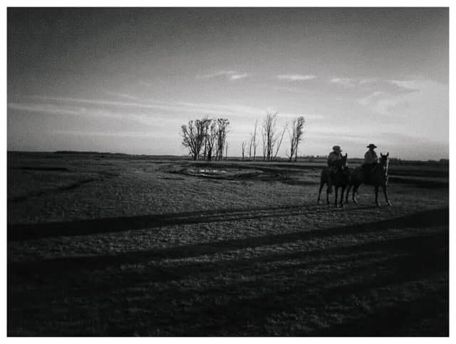 Mercedes Gaucho Countryside - Image 1